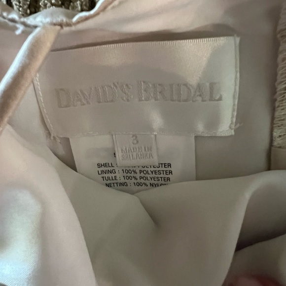 Flower girl dress from David’s bridal. Worn one time. - Picture 4 of 4